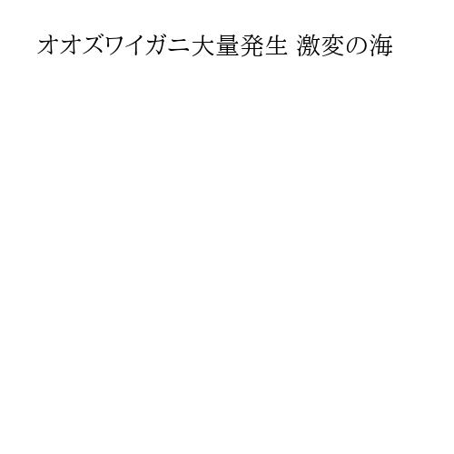 オオズワイガニ大量発生 激変の海