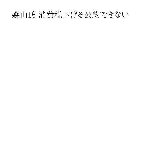 森山氏 消費税下げる公約できない
