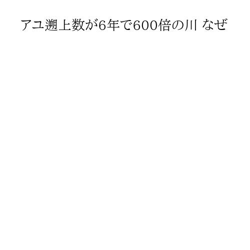 記事画像（PC版）