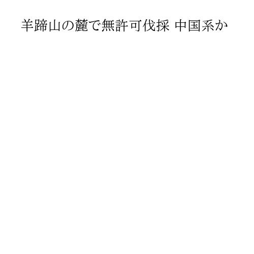 羊蹄山の麓で無許可伐採 中国系か