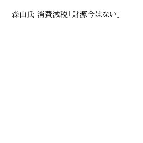 森山氏 消費減税「財源今はない」