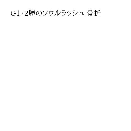 G1・2勝のソウルラッシュ 骨折
