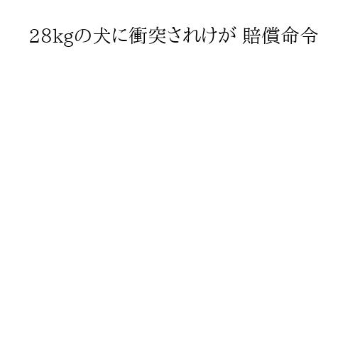 28kgの犬に衝突されけが 賠償命令