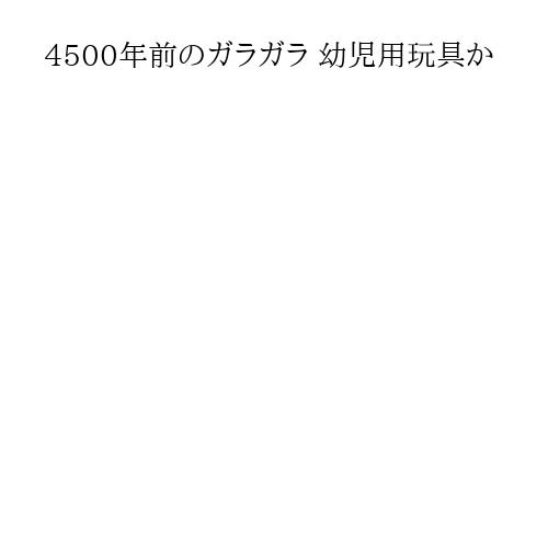 4500年前のガラガラ 幼児用玩具か