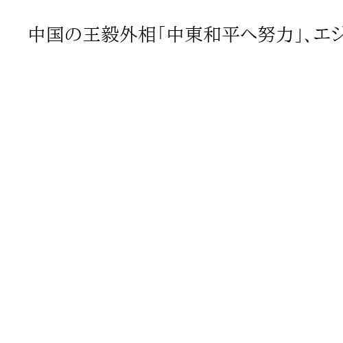 中国の王毅外相「中東和平へ努力」、エジプト外相との電話会談で中東情勢巡り意見交換