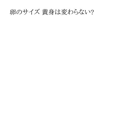 卵のサイズ 黄身は変わらない?