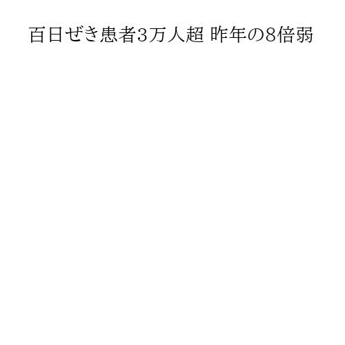 記事画像（PC版）