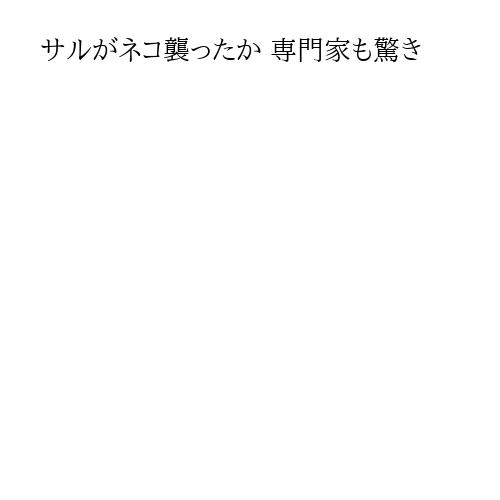 サルがネコ襲ったか 専門家も驚き