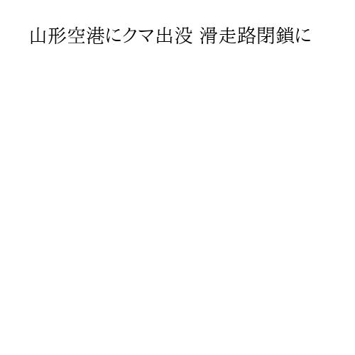 山形空港にクマ出没 滑走路閉鎖に