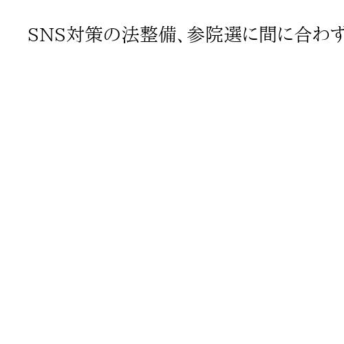 SNS対策の法整備、参院選に間に合わず　与野党議論も実効性や「表現の自由」の壁
