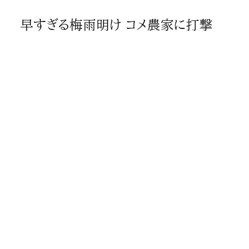 早すぎる梅雨明け コメ農家に打撃