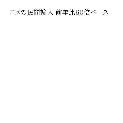 コメの民間輸入 前年比60倍ペース
