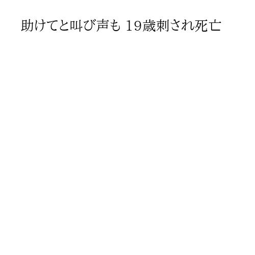 助けてと叫び声も 19歳刺され死亡