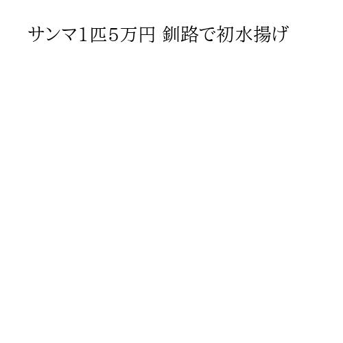サンマ1匹5万円 釧路で初水揚げ