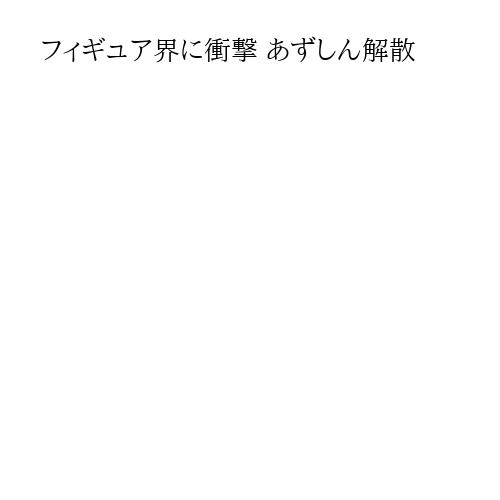 フィギュア界に衝撃 あずしん解散