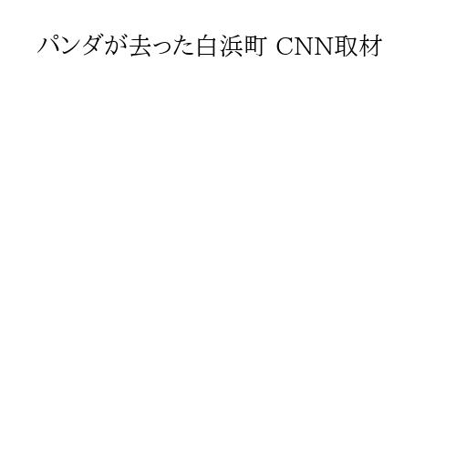 パンダが去った白浜町 CNN取材