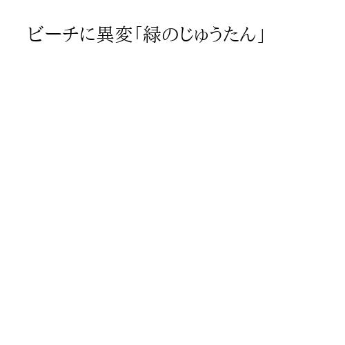 ビーチに異変「緑のじゅうたん」