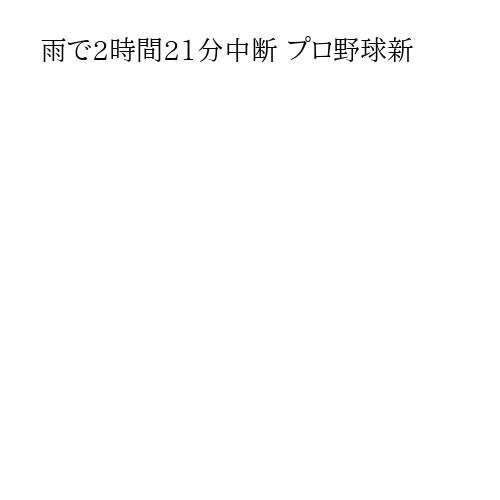 雨で2時間21分中断 プロ野球新