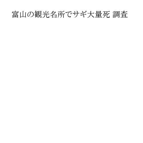 富山の観光名所でサギ大量死 調査