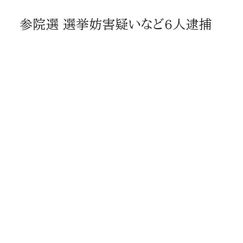 参院選 選挙妨害疑いなど6人逮捕