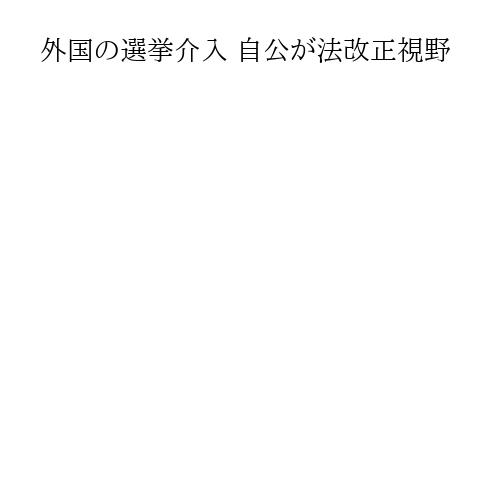 外国の選挙介入 自公が法改正視野