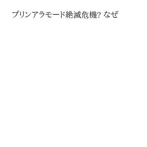 プリンアラモード絶滅危機? なぜ