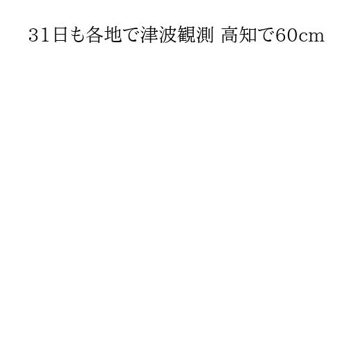 31日も各地で津波観測 高知で60cm