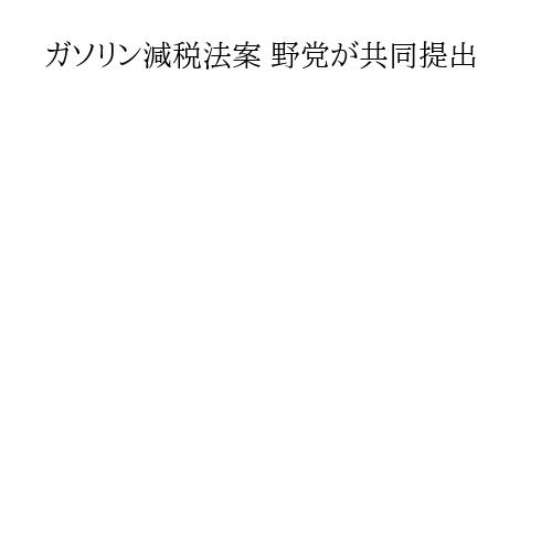 ガソリン減税法案 野党が共同提出