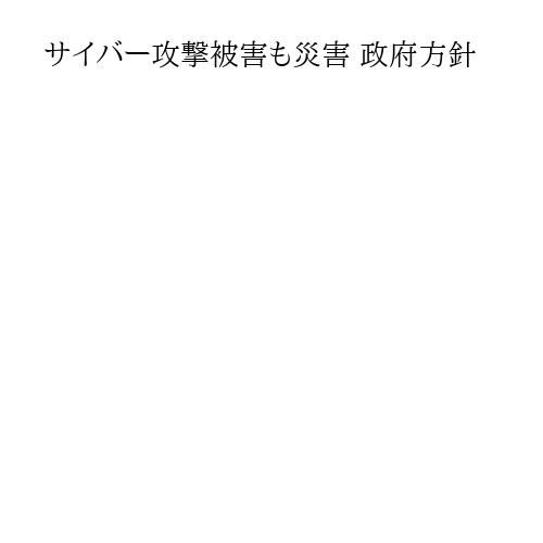 サイバー攻撃被害も災害 政府方針
