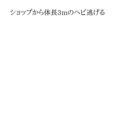 ショップから体長3mのヘビ逃げる