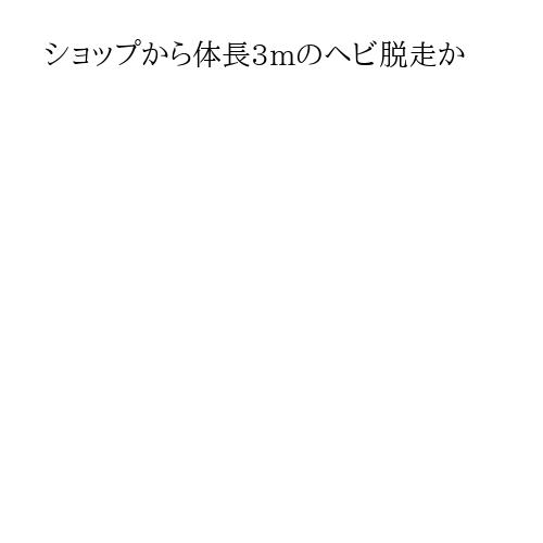 ショップから体長3mのヘビ脱走か