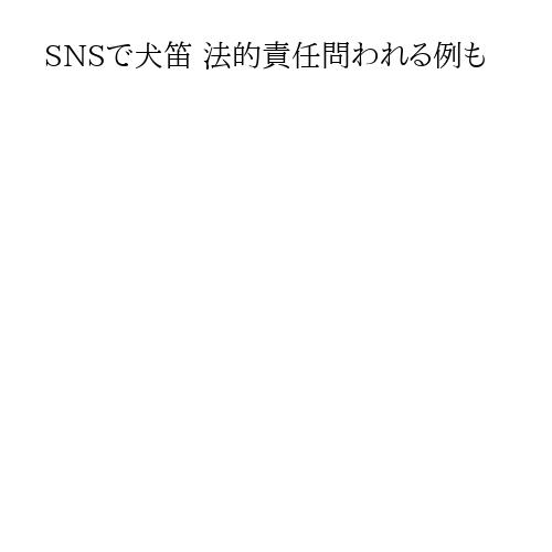 SNSで犬笛 法的責任問われる例も