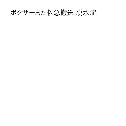 ボクサーまた救急搬送 脱水症