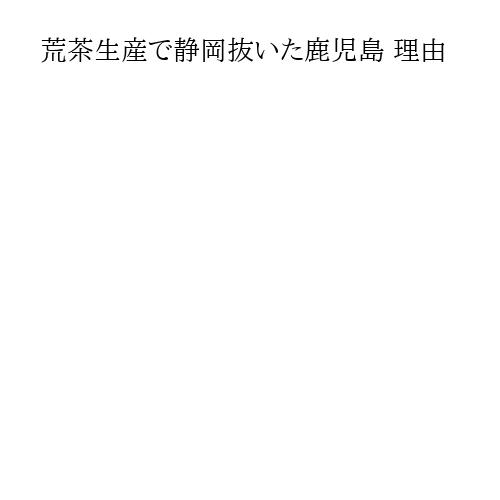 荒茶生産で静岡抜いた鹿児島 理由