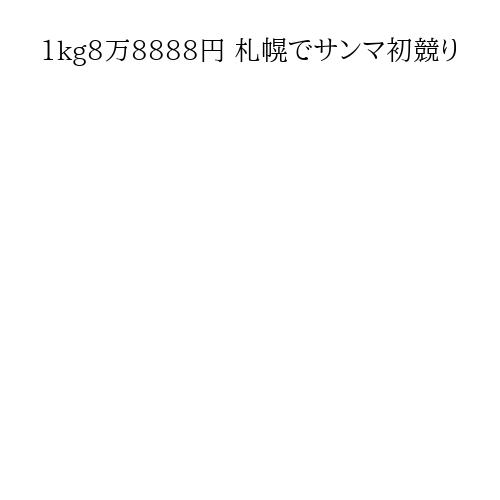 1kg8万8888円 札幌でサンマ初競り