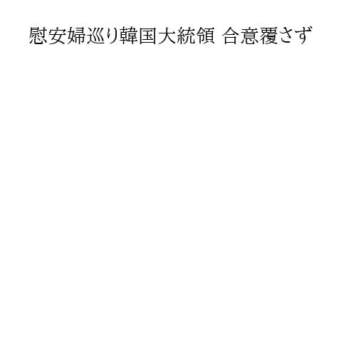 慰安婦巡り韓国大統領 合意覆さず