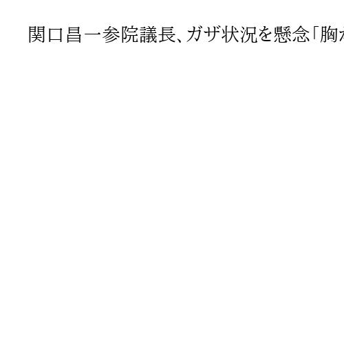 関口昌一参院議長、ガザ状況を懸念「胸が痛む」　イスラエル国会議長と面会