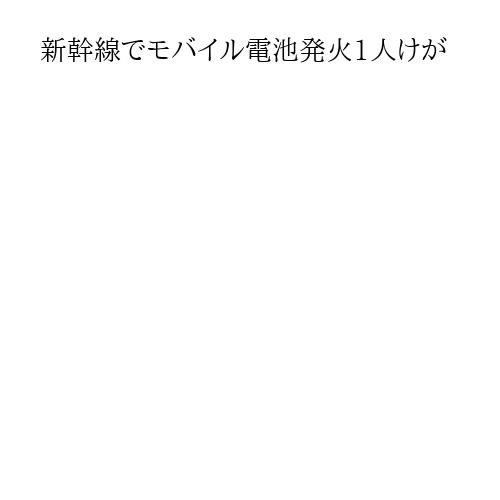 新幹線でモバイル電池発火1人けが
