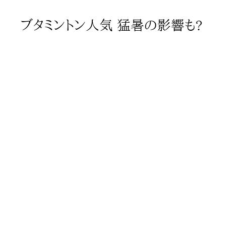 ブタミントン人気 猛暑の影響も?