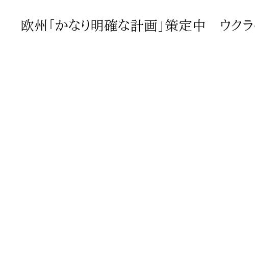 欧州「かなり明確な計画」策定中　ウクライナへの「安全の保証」提供で