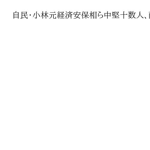 自民・小林元経済安保相ら中堅十数人、両院総会後に会合　臨時総裁選前倒し見据え協議か