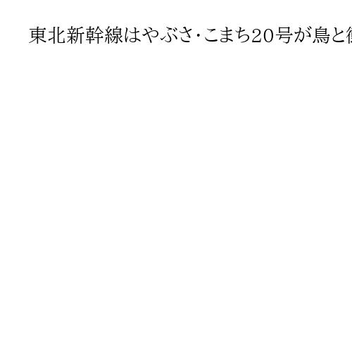 東北新幹線はやぶさ・こまち20号が鳥と衝突か　緊急停車、2本が遅れ1000人に影響