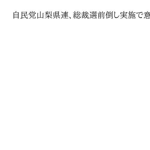 自民党山梨県連、総裁選前倒し実施で意見集約へ　「人事断行で新たな活力を」