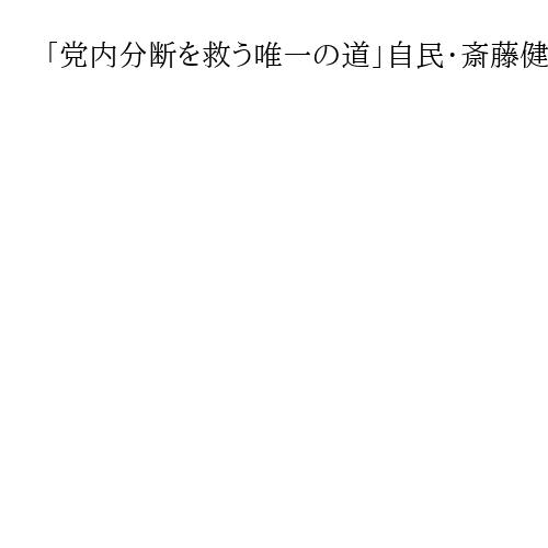 「党内分断を救う唯一の道」自民・斎藤健氏、首相の退陣評価　旧石破派で「複雑な思いも」