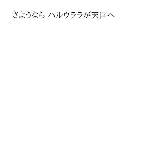 さようなら ハルウララが天国へ