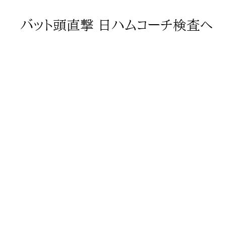 バット頭直撃 日ハムコーチ検査へ