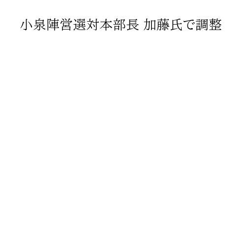 小泉陣営選対本部長 加藤氏で調整