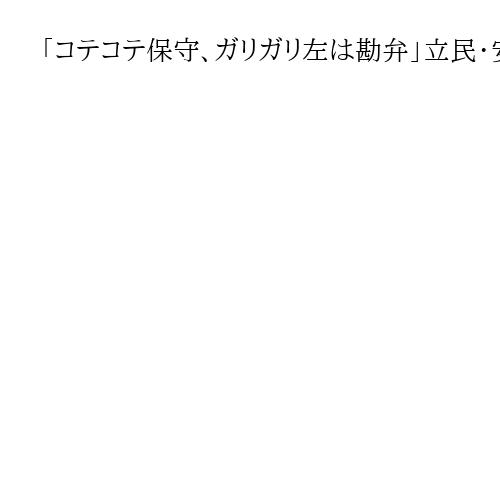 「コテコテ保守、ガリガリ左は勘弁」立民・安住氏、野党連立に意欲も　参政は「一線画す」