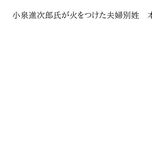 小泉進次郎氏が火をつけた夫婦別姓　本人が封印しても周りは納得するのか