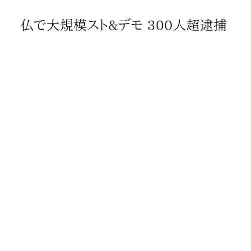 仏で大規模スト&デモ 300人超逮捕